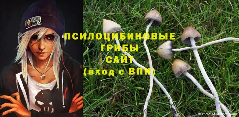 Псилоцибиновые грибы MAGIC MUSHROOMS  Благовещенск 